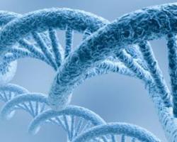 Так ли надежен ДНК анализ?